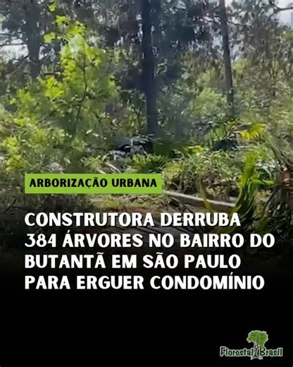 Florestal Brasil on Instagram: "A cena desta quarta-feira (26/11) no Butantã, em São Paulo, revela mais um capítulo da crise urbana entre expansão imobiliária e perda de natureza: máquinas da Construtora Tenda começaram a derrubar 384 árvores na Av. Guilherme Dumont Villares para construir o condomínio Max Vila Sônia. O Termo de Compromisso Ambiental (TCA), aprovado pela Prefeitura, autoriza a remoção de 128 árvores nativas, além de cinco invasoras, 226 exóticas e 25 mortas — um conjunto que for