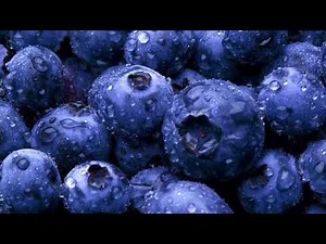 100% Full Blueberry Transformation/ The Ultimate Blueberry Inflation Subliminal! 🫐 Inflated version