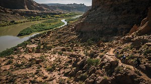 2.7K views · 43 reactions | Finally, protection as progressive as you are. The Session helmet features Koroyd® crumple zone cylinders that convert and absorb more kinetic energy on impact than traditional materials. Learn more about the Session: www.smithoptics.com/p/HB18-SSMBSMMIPS | Smith | Facebook