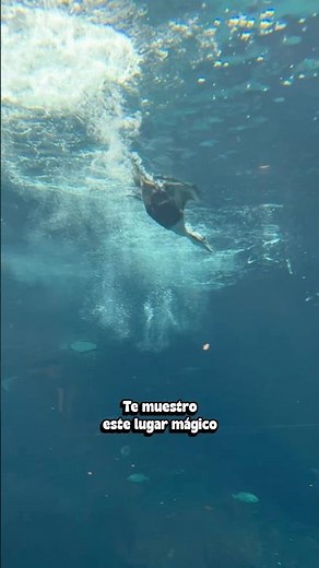 Explora diferentes ecosistemas en un solo lugar
