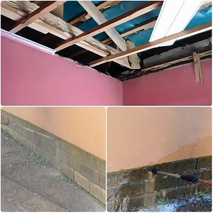 BEFORE YOU ENGAGE ANY PEST CONTROL PERSON MAKE SURE THEY ARE QUALIFIED/CERTIFIED BY BOTSWANA UNIVERSITY OF AGRICULTURE AND NATURAL RESOURCES (BUAN), AND IF ITS A COMPANY MAKE SURE IT'S LICENSED... IF YOU DON'T YOU ARE LIKELY RISKING PESTICIDE RESISTANCE. DEALING WITH PESTICIDE RESISTANCE CAN BE VERY EXPENSIVE 🙏🙏🙏 READ CAREFULLY!!! ● TERMITES DON'T LIVE IN WOODEN MATERIAL. TERMITES DON'T STAY ON ROOF RAFTERS/PLANKS. THEY FEED AND HARVEST ON PLANKS/RAFTERS AND TAKE FOOD TO THEIR COLONIES (DIOLO