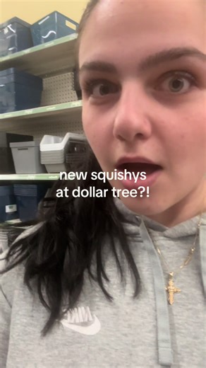 Discover New Squishies at Dollar Tree!