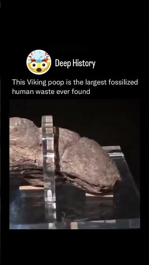 This Viking poop is the largest fossilized human waste ever found. #didyouknow #trending #science