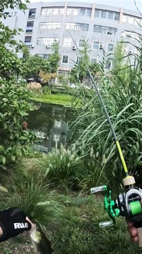 To avoid poison, you still need a telescopic rod #luya #micro-luya#