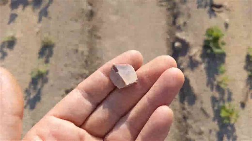 What Native Americans left behind in this South Georgia field