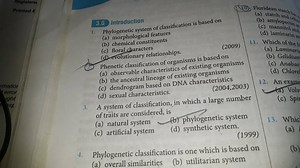 Phylogenetic classification is one which is based on... | Filo