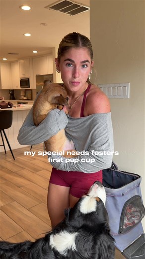 ya know what i kinda thought that would be the case 😭 #viral #foster #dogmom