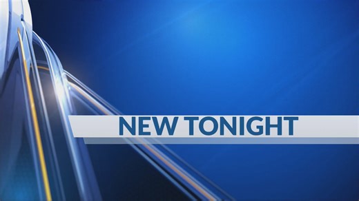 UA professor files civil rights lawsuit following termination recommendation