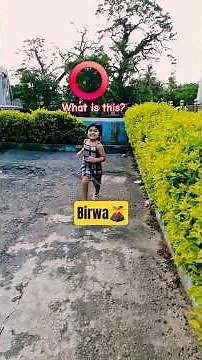 ✨️Birwa🔥||Anurag Saikia||🧡Arijit Singh💗||Dr SagarNishaanchi℗#shortsfeed #shortsviral #short #ytshort