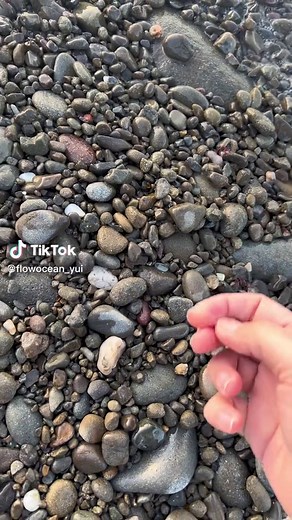 シーグラス拾いの楽しみ方！海辺での贈り物集め