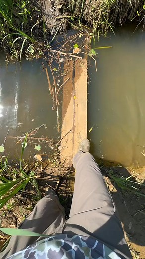 Fishing for big fish!  #fishing #fishingtips #howtofish #bassfishing #fisherman #bigfish #catfish | Sight Fish | Facebook