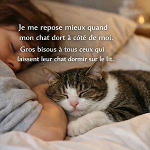 Il y a quelque chose de profondément apaisant dans le fait de s’endormir avec son chat tout près de soi. Quand il choisit le lit, ce n’est jamais par hasard. C’est un endroit où il se sent en sécurité, où il sait qu’il peut baisser la garde, fermer les yeux et se laisser aller au sommeil. Et sans même s’en rendre compte, on fait exactement la même chose. Quand mon chat dort sur le lit, le silence devient différent. Plus doux. Plus rassurant. Sa respiration lente, parfois accompagnée d’un léger r