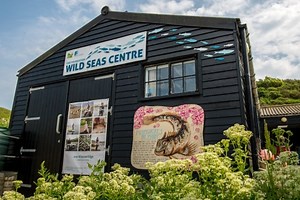 The Fine Foundation Wild Seas Centre | Dorset Wildlife Trust
