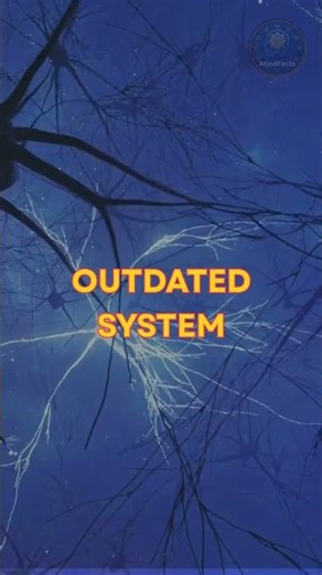 Why Your Brain Destroys Your Focus