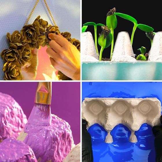 Genius ways to reuse egg trays. Don’t throw them away anymore!