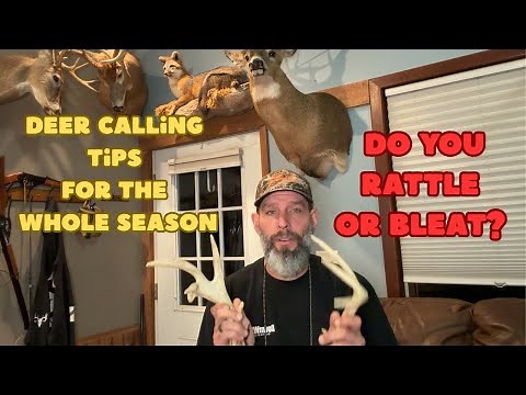 Whitetail Deer Calling Strategies That Actually WORK
