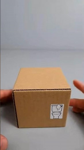 #11 | Skibidi Toilet Transforming Cardboard Box
