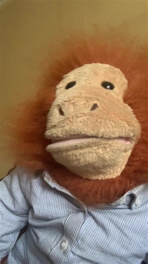 Rightturnclyde_returns (@rightturnclyde_returns)’s videos with original sound - Wilfroed 🐶