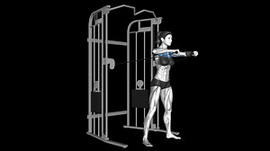 Cable Chest Press – How To Video, Alternatives & More
