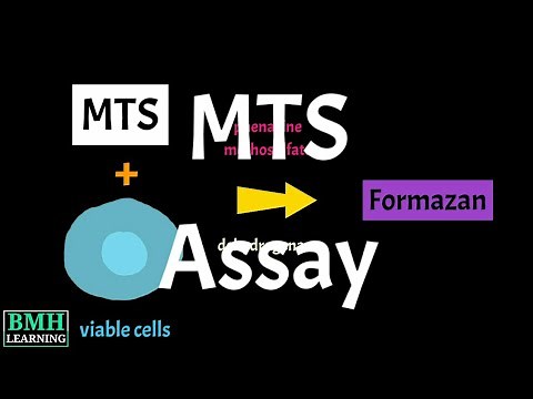 mts Assay | Cell Proliferation Assay | MTS Cell Viability Asaay |