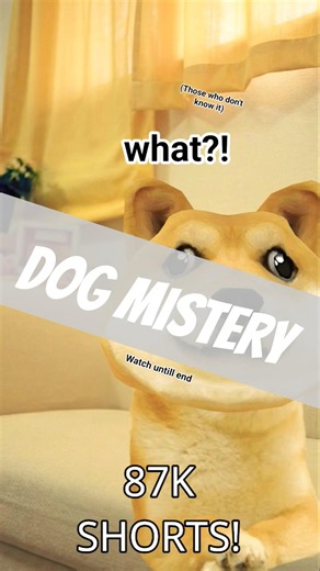 Watch untill end || This is for people who don't know it || More in description || #dog #xolanaandmo