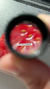 Strawberry babies | creative explained