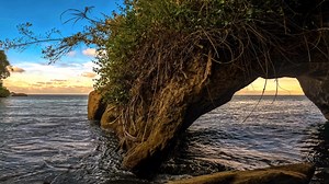 "1542: El secreto tallado en piedra" Durante mucho tiempo, este pequeño arco estuvo ahí, oculto entre el mangle y la vegetación espesa, lejos de las miradas y de la memoria colectiva. Solo algunos sabían de su existencia. Llegar hasta él no era fácil. El tiempo, el entorno y el abandono lo habían apartado del camino. Ahora, por razones naturales o tal vez por el mismo cambio climático, el arco ha vuelto a quedar expuesto. Y con él, algo mucho más valioso: fechas talladas en su piedra, registros 