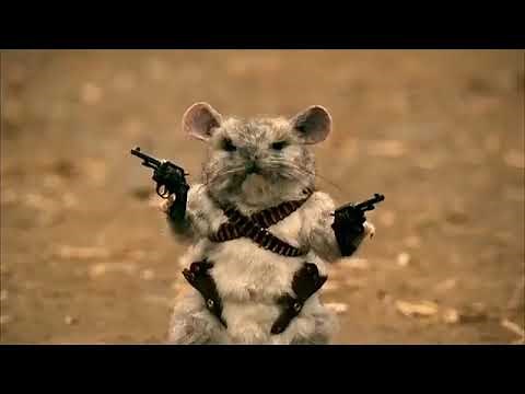 Las Vegas - Chinchilla Day