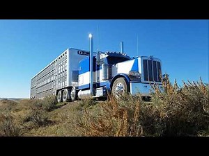 cow truck outlaws and outsiders