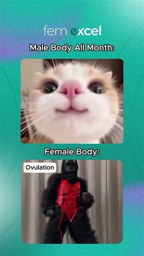 Your hormones don’t follow a 24 hour clock. 😵‍💫