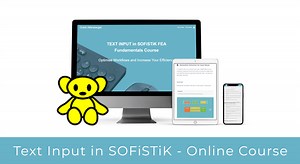 Text Input in SOFiSTiK FEA Fundamentals Online Course - SOFiSTiK FOR YOU