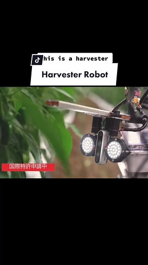 This harvester robot could change future farms 🌶 #learnontiktok #technology #robot #engineering #makethisviral #fypシ #food #farm
