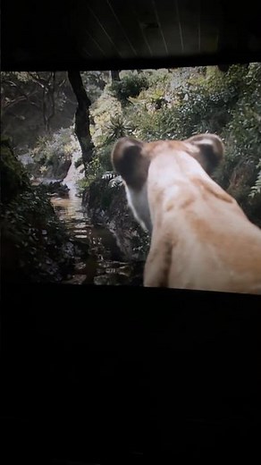 Mufasa Simba Kiara Kion #thelionking #mufasa #movie #new