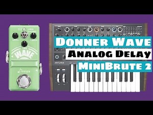 Donner Wave Analog Delay Meets Arturia Minibrute 2 Synthesizer | SYNTH ANATOMY