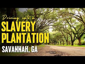 Breathtaking Drive into Wormsloe Slavery Plantation - Savannah, Georgia