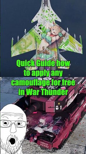 How to apply ANY SKIN in War Thunder!