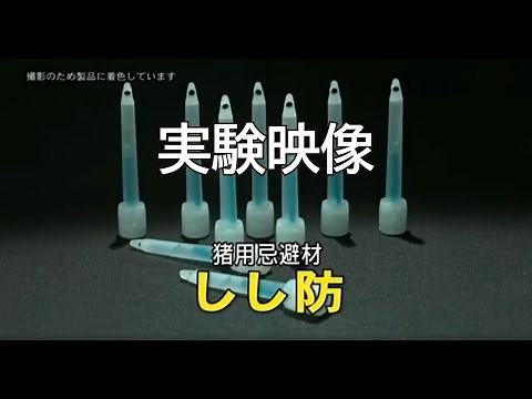 イノシシを寄せつけない！次世代型イノシシ対策の【しし防】