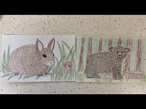 Drawing animals with texture