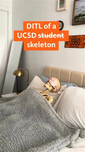 Day in the (after) life 💀 Dead serious about school spirit @ucsandiego 🎃🔱💙💛 Happy Halloween! #ditl #ucsd #skeleton #dayinthelife | University of California