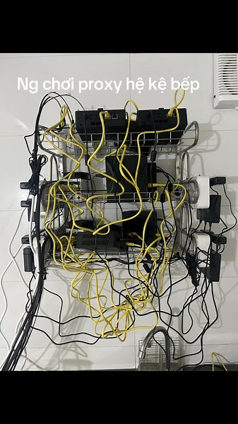 #vinaproxy #gradient #grass #nodepay #airdrop #proxydancu #boxproxy Lên dàn 10 box proxy cho khách build chạy air nhìn hơi rối nhưng đến đêm thì lại lung linh.