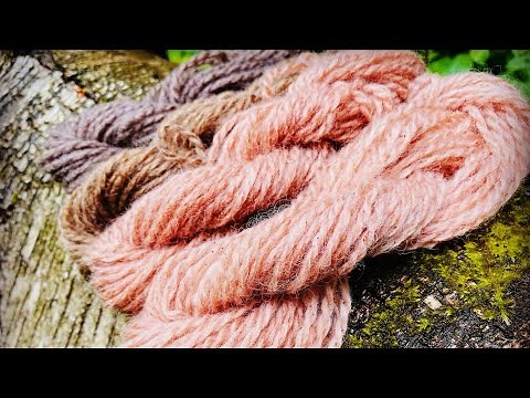 How to Dye with Birch Bark ​⁠‪@WildcraftDyeing‬