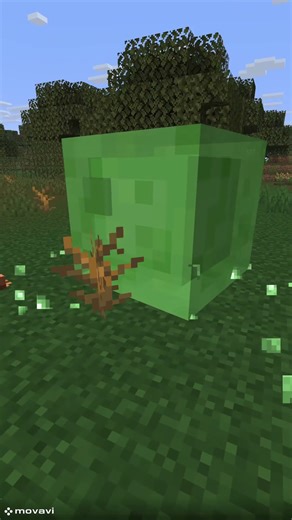 Conversation between a slime and a magma cube
