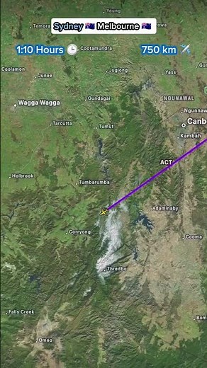 Australia’s Busiest Domestic Flight 🇦🇺✈️ | Sydney to Melbourne