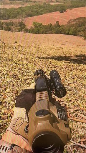 Será que acertei? Arrisquei a mais de 300 metros! 🐗 #manejo #precisao #leandrao