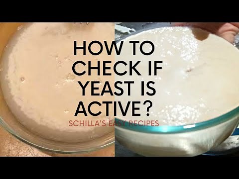 How To Check If Yeast Is Active? | Good Yeast and Bad Yeast | Schilla's Easy Recipes