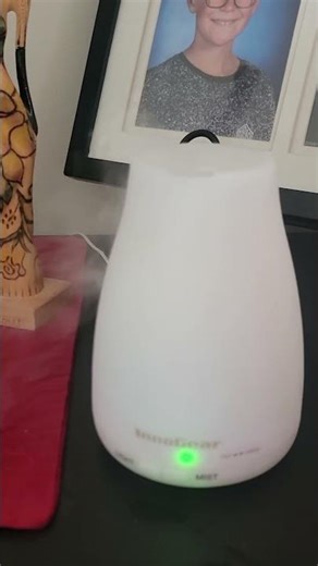 InnoGear Diffuser Review! 🌬️ Best Essential Oil Diffuser for Home? 🏡