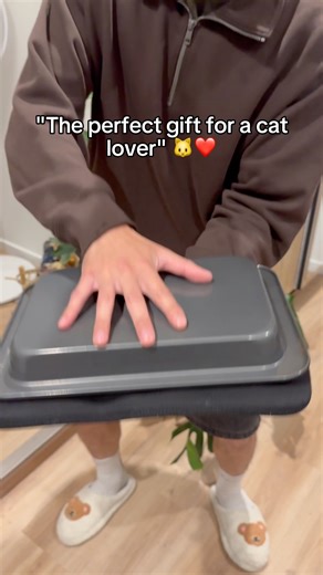 Kitty Kiosk on Instagram: "Keep your naughty dogs out of your cats food bowl or litter box! Link in bio 🔗😺#cat #catlove #catlife #catlovers #petlovers"