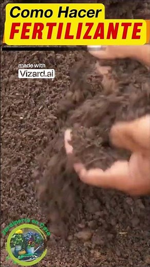 Egg and coffee fertilizer for your plants