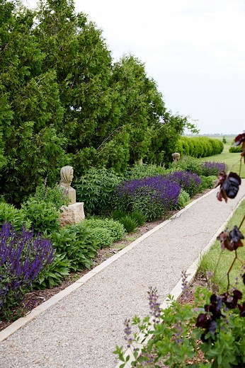 This drought-tolerant, pollinator-loving perennial bed is one of my favorites. Here's everything I planted in this bed: Caradonna Salvia, Culver's Root, Calamint, Millenium Allium, Black-Eyed Susan, Agastache. | Wyse Guide