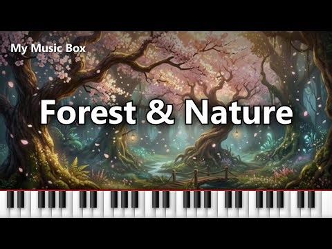 Relaxing Piano Music Vol.67 — 57 Minutes Healing Forest Sounds 🌿